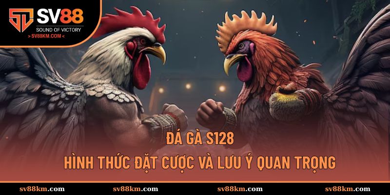 Đá gà S128