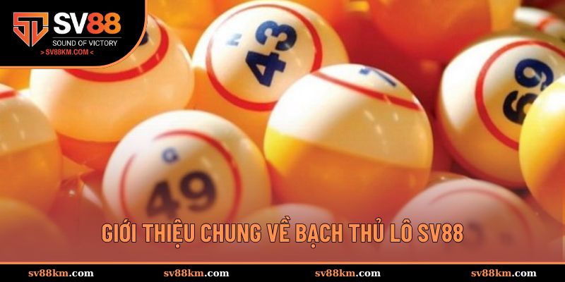 Tổng quan về chuyên mục cá cược bạch thủ lô