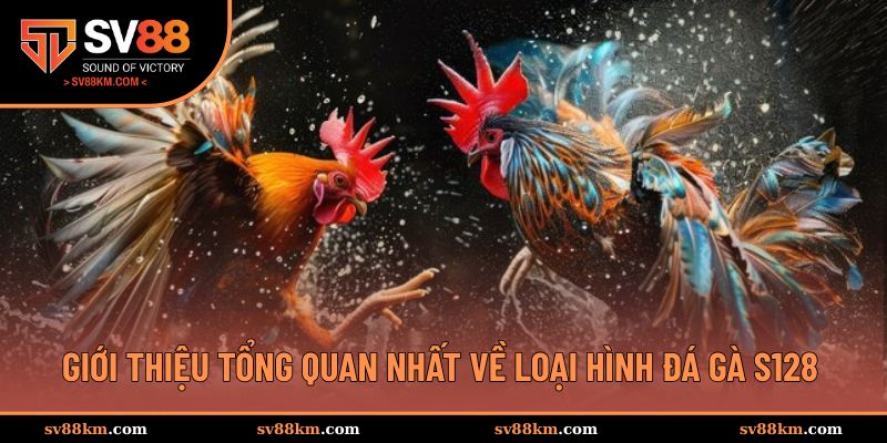 Tổng quan về đá gà S128 siêu hot