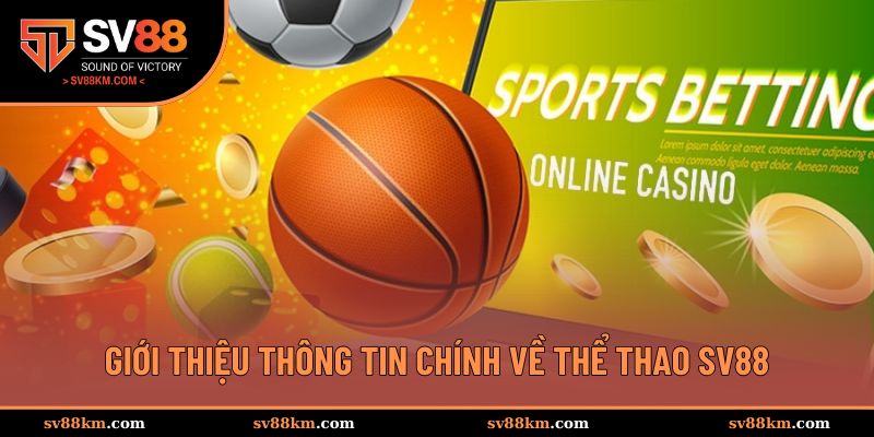 Sơ lược chung về sảnh thể thao sv88