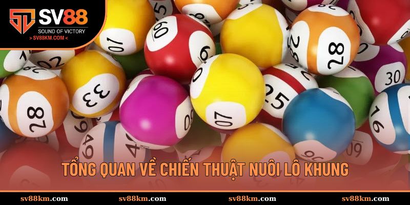 Tổng quan về kỹ thuật nuôi lô khung