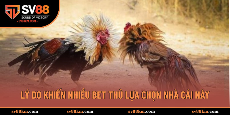 Lý do khiến nhiều bet thủ lựa chọn nhà cái này