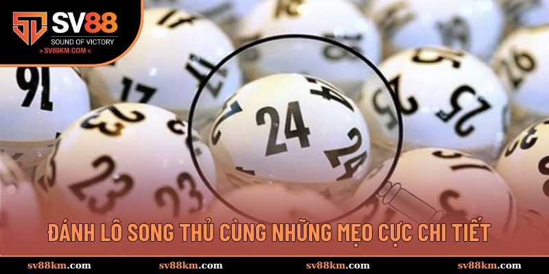 Đánh lô song thủ cùng những mẹo cực chi tiết