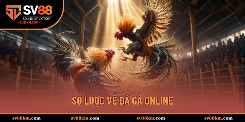 Sơ lược về đá gà online