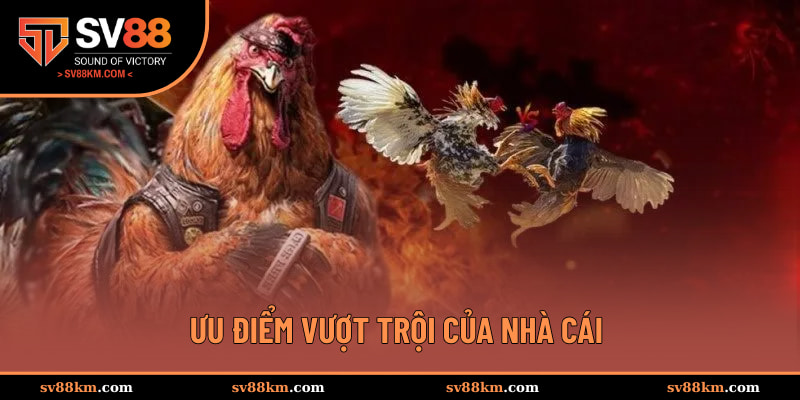 Ưu điểm vượt trội của nhà cái