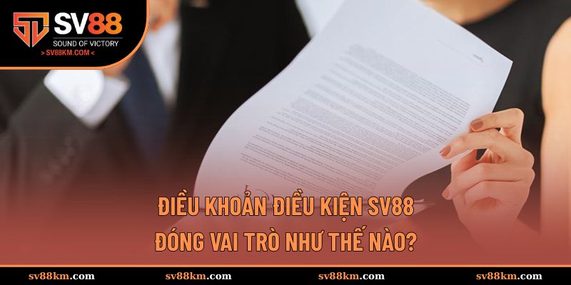 Vai trò quan trọng cực ký của điều khoản nhà cái